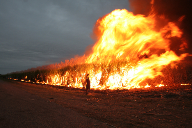 cane fire