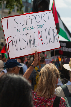 Palaction