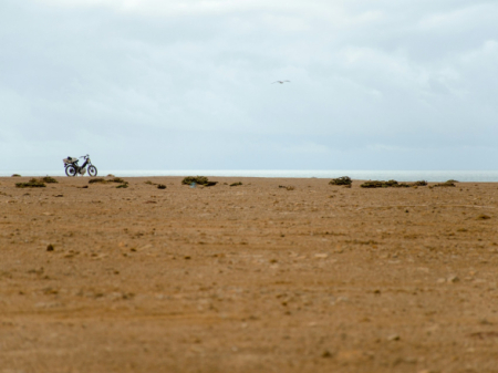 Western Sahara