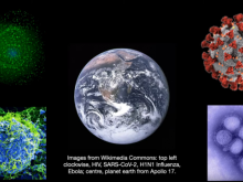 Global capital and pandemics