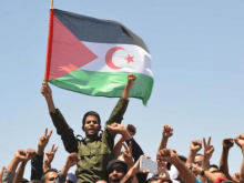 Western Sahara flag