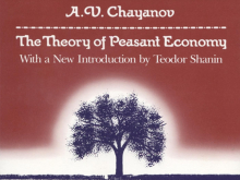 Chayanov Theory of Peasant Economy