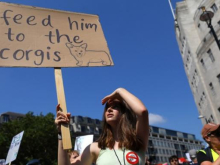 Anti-Trump