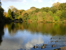 Mixed bathing pond Hampstead Heath