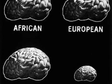 racist brain