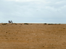 Western Sahara