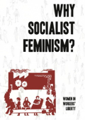 Book Cover "Why Socialist Feminism?" in black text on a white background above "Capitalism also Depends on Domestic Labour" cartoon depicting women's social reproductive role in society, originally from See Red Women's Workshop.