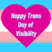 Trans visibility
